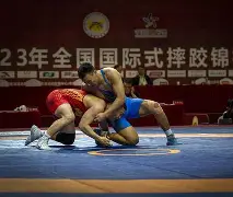 包含摔跤邀请赛掀起高潮，蓬莱巨龙队大胜东海迅豹队，战至最后一刻——年轻人站出来了的词条